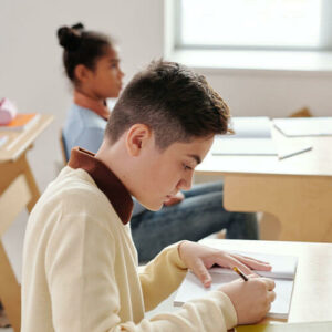 Begaafdheids Profielscholen