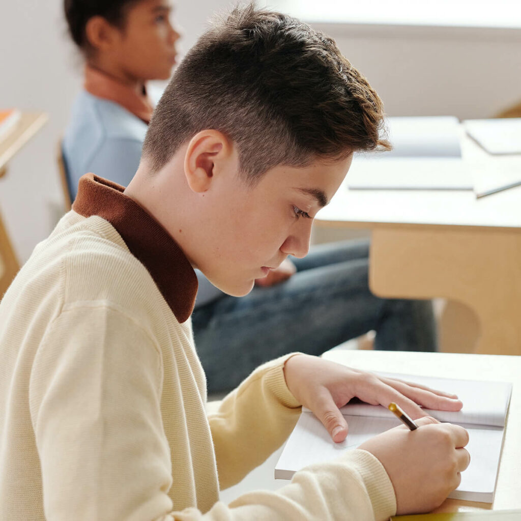 Begaafdheids Profielscholen